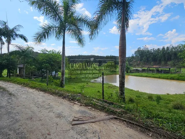 Imagem: Farm em Juquiá - São Paulo, Bairro das