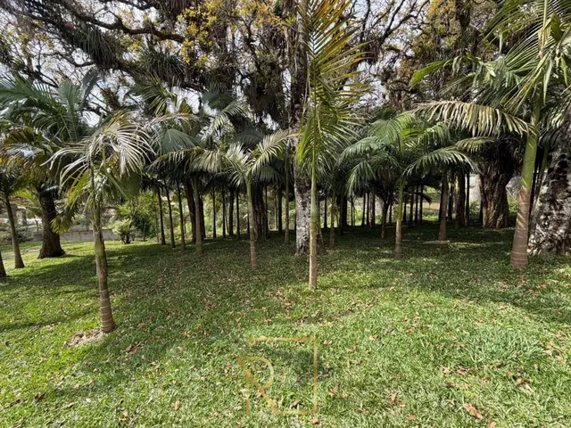 Imagem 15: Terreno em condomínio fechado em Colombo