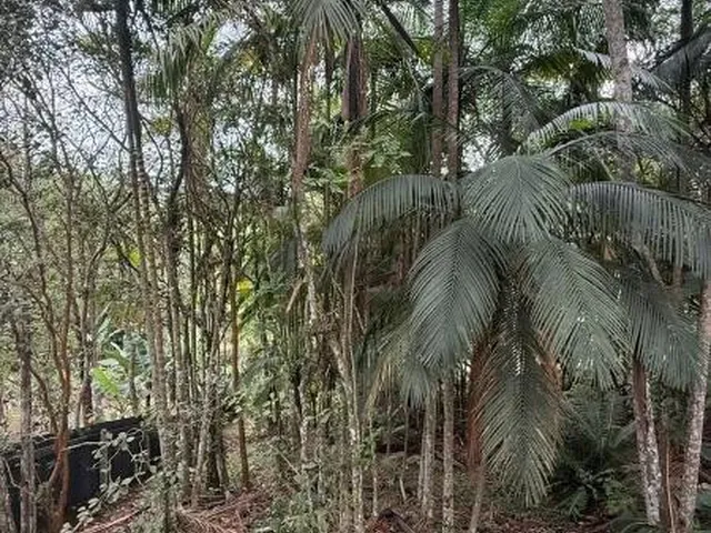 Imagem 9: 0 Chácara com 3 dormitórios