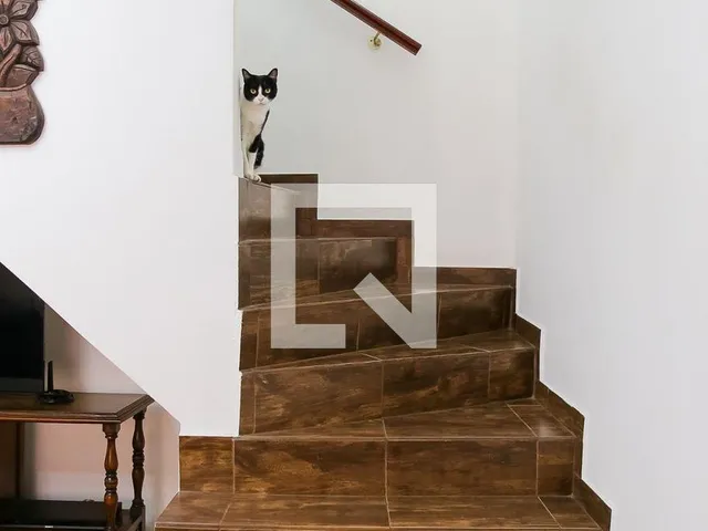 Imagem 13: 0 Casa com 5 dormitórios