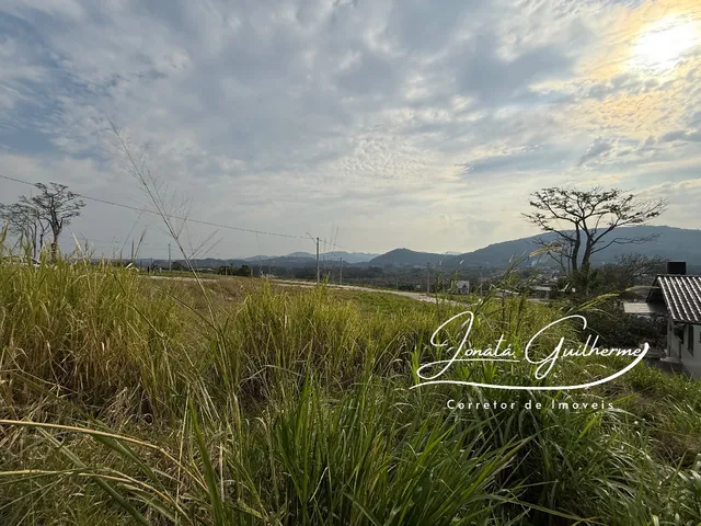 Imagem 16: Terreno À Venda em Feliz-Rs, no Bairro Matiel, com 420,00 M² de Área - Oportunidade Imperdível!