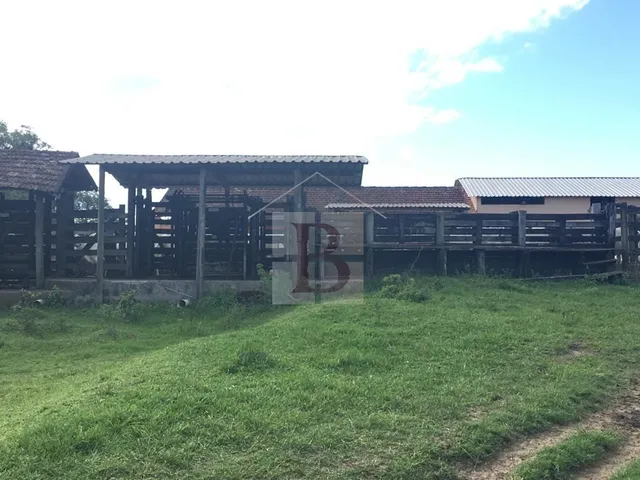 Imagem: A fazenda possui 4 Dormitórios, 1 Suíte, 2 Banheiros, 5