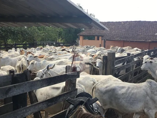 Imagem 9: FAZENDA RURAL em ARARUAMA - RJ, Araruama