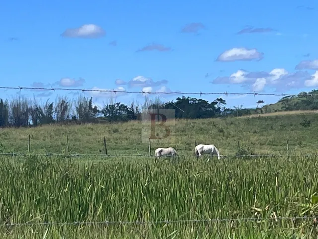 Imagem 11: FAZENDA RURAL em ARARUAMA - RJ, Araruama