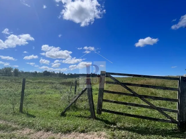 Imagem 3: FAZENDA RURAL em ARARUAMA - RJ, Araruama