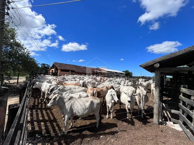 Imagem 16: FAZENDA RURAL em ARARUAMA - RJ, Araruama