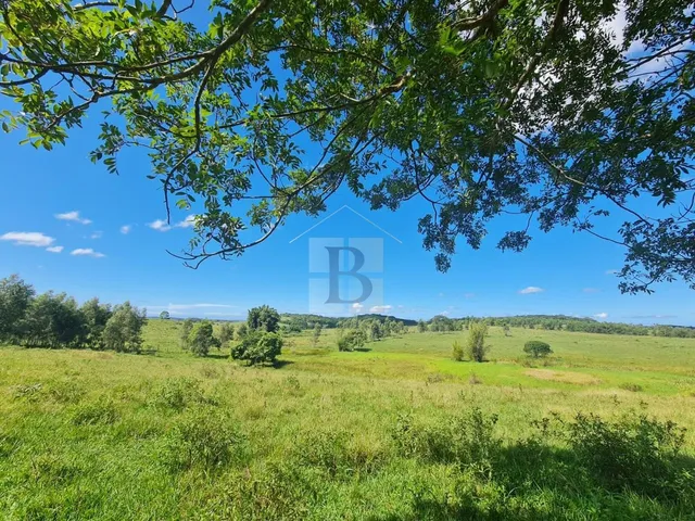 Imagem 10: FAZENDA RURAL em ARARUAMA - RJ, Araruama