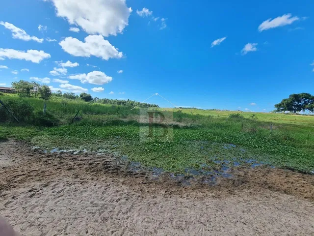Imagem 15: FAZENDA RURAL em ARARUAMA - RJ, Araruama