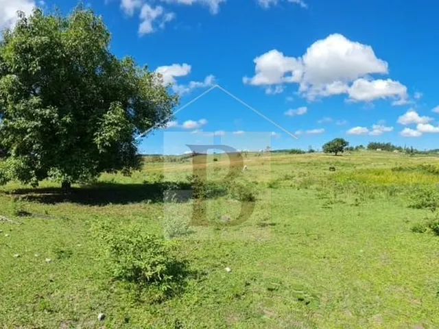 Imagem 14: FAZENDA RURAL em ARARUAMA - RJ, Araruama