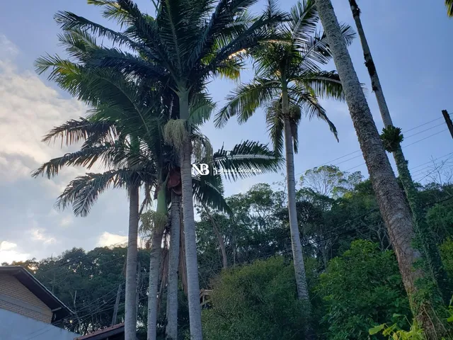 Imagem 3: Casa com 5 Quartos à Venda na Beira-Mar de Sambaqui, Florianópolis