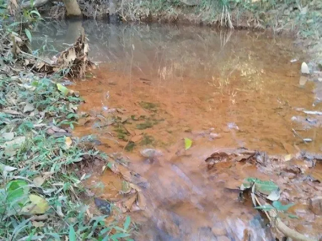 Imagem 9: Farm em Serra do Cipó - Minas Gerais