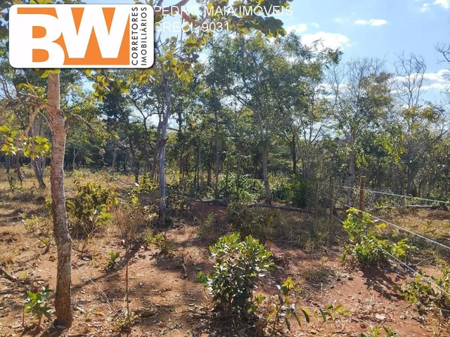 Imagem 8: Farm em Jaboticatubas - Minas Gerais, Zona Rural