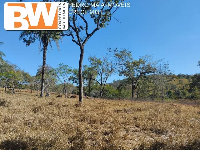 Imagem 13: Farm em Jaboticatubas - Minas Gerais, Zona Rural
