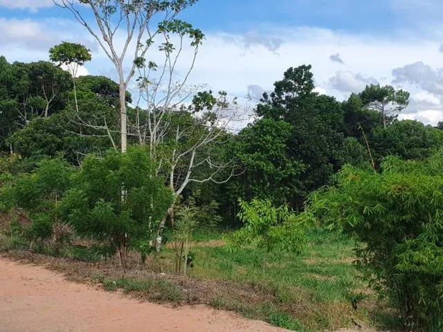 Imagem 9: Reserva de Aldeia Maggiore