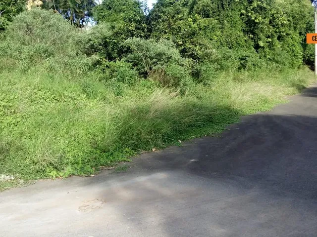 Imagem 2: Terreno em Camaçari