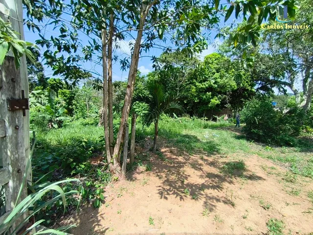 Imagem: Chácara de 2.000M² no Bairro Amarelos