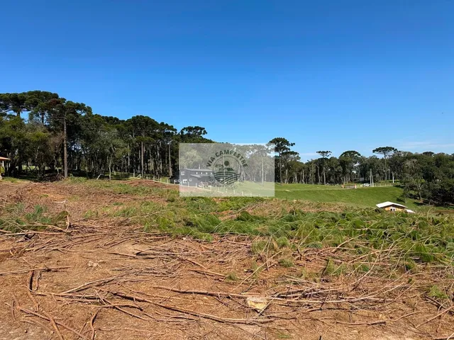 Imagem 3: Terreno para Sitio com Area de Festa e Quarto, Frente para o Asfalto, Escriturado