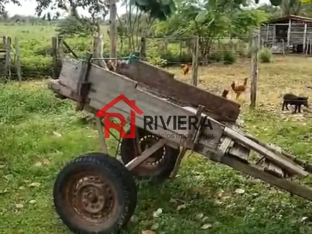 Imagem 3: Fazenda Rural em Bacabeira - Ma, Bacabeira
