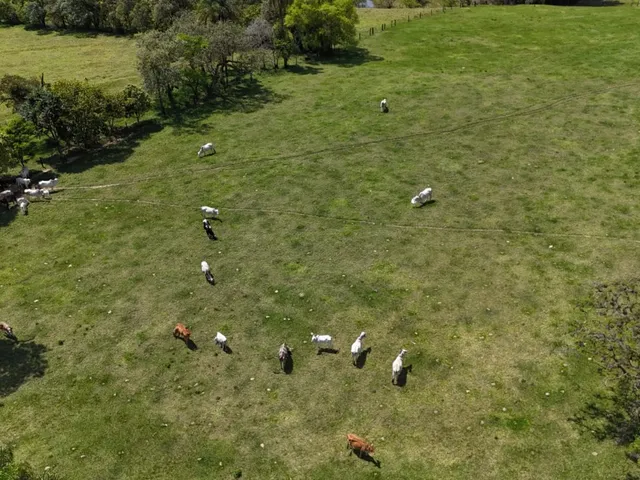 Imagem 9: 0 Fazenda / sítio com 3 dormitórios