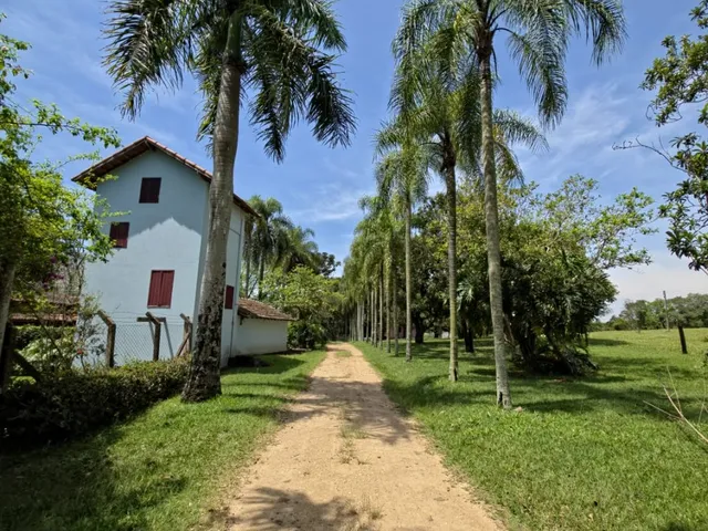 Imagem 16: 0 Fazenda / sítio com 3 dormitórios