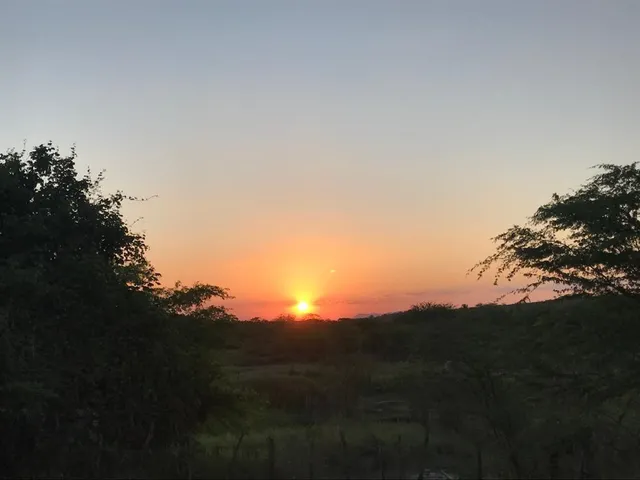 Imagem 4: Fazenda em Alagoas - Paulo Jacinto - Quebrangulo