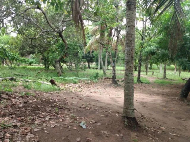 Imagem 11: Granja em Bayeux