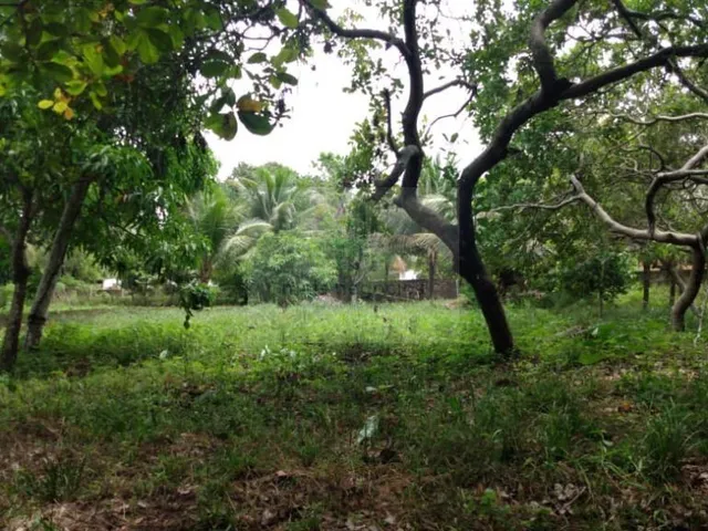 Imagem 12: Granja em Bayeux
