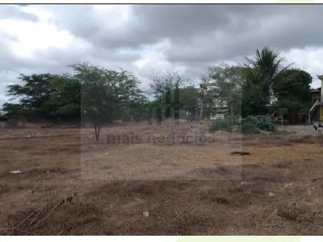 Imagem 6: Casa com Terreno
