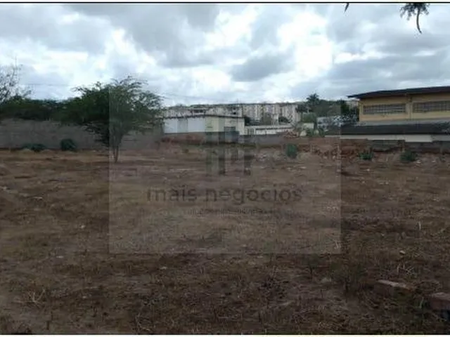 Imagem 7: Casa com Terreno