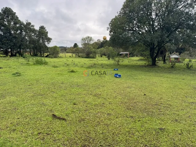 Imagem 2: Area Industrial em Campo Largo - Pr, Campina Balbino Cunha