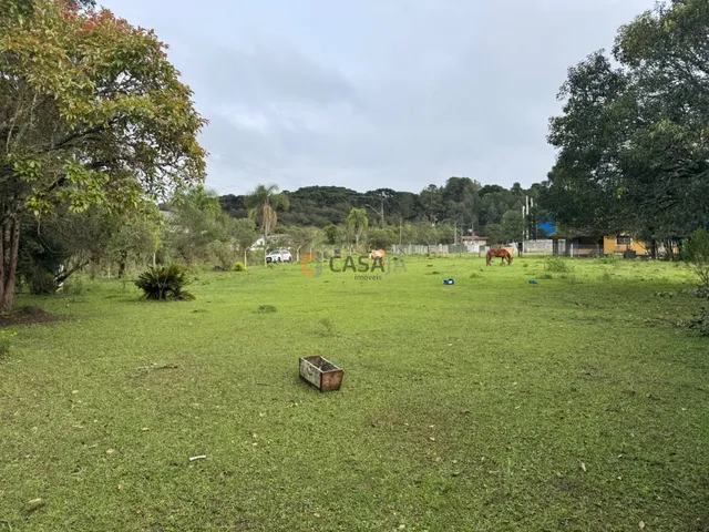 Imagem 8: Area Industrial em Campo Largo - Pr, Campina Balbino Cunha