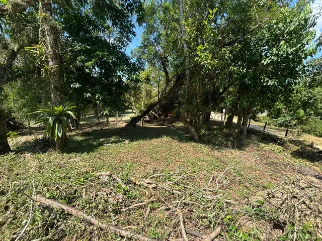 Imagem: Excelente Terreno Rural para Casa de Campo