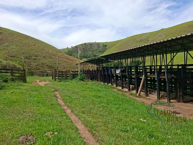 Imagem: Fazenda 197,7 Hectares, Porteira Fechada