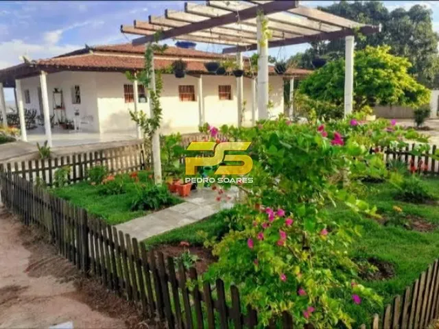 Imagem 9: Fazenda com Casa Sede 11 Hectares a Venda Zona Rural de Dona Ines-Pb