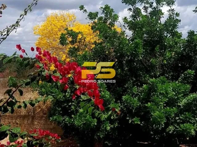 Imagem 6: Fazenda com Casa Sede 11 Hectares a Venda Zona Rural de Dona Ines-Pb