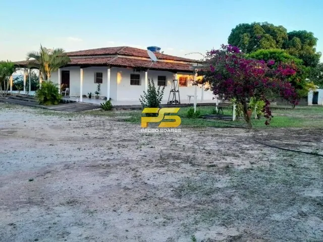 Imagem 12: Fazenda com Casa Sede 11 Hectares a Venda Zona Rural de Dona Ines-Pb