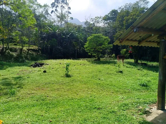 Imagem 16: Sítio À Venda em Schroeder, Sc, com 44.945,43 M²