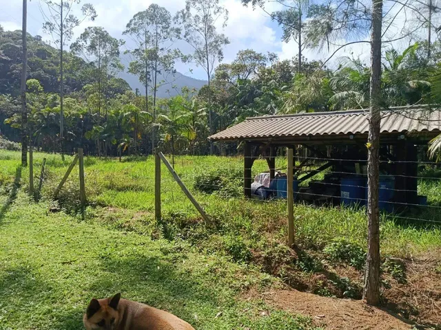Imagem 3: Sítio À Venda em Schroeder, Sc, com 44.945,43 M²