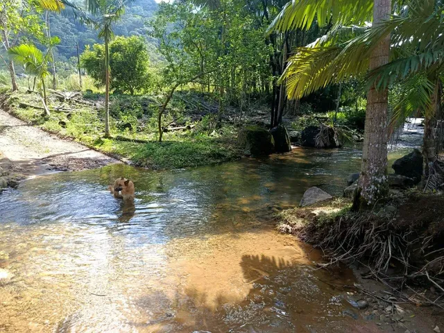 Imagem 10: Sítio À Venda em Schroeder, Sc, com 44.945,43 M²