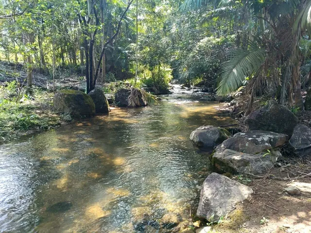 Imagem 4: Sítio À Venda em Schroeder, Sc, com 44.945,43 M²