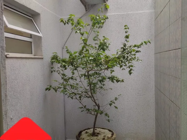 Imagem 12: Casa com Piscina Residencial em Peruíbe - Sp, Barra de Jangada