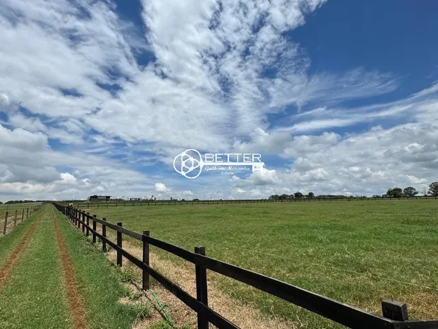 Imagem 13: Haras Alto Padrão a Venda - Tatui/Sp