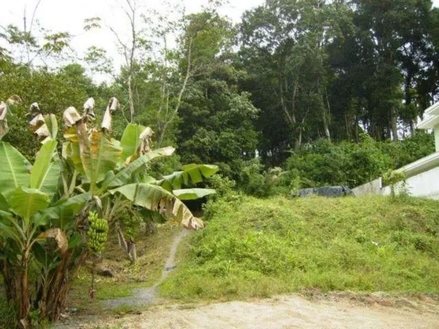Imagem 12: Terreno, Venda, Bairro América, Buch Imoveis
