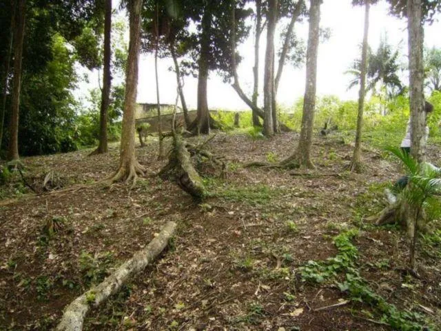 Imagem 6: Terreno, Venda, Bairro América, Buch Imoveis
