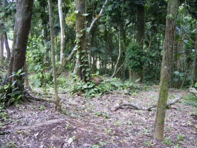 Imagem 11: Terreno, Venda, Bairro América, Buch Imoveis