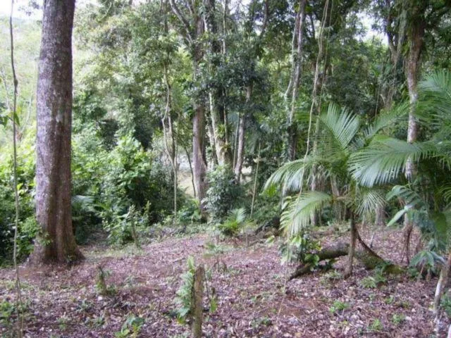 Imagem 5: Terreno, Venda, Bairro América, Buch Imoveis