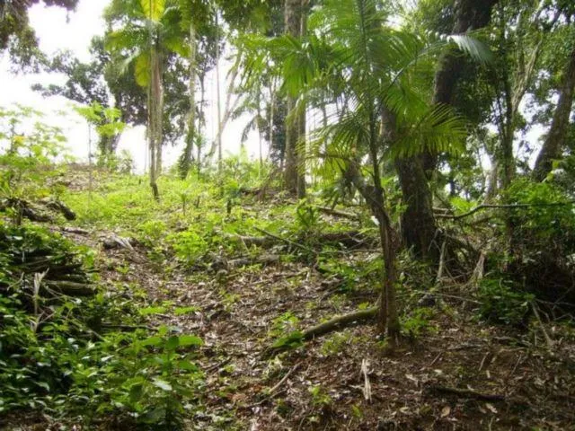 Imagem 9: Terreno, Venda, Bairro América, Buch Imoveis