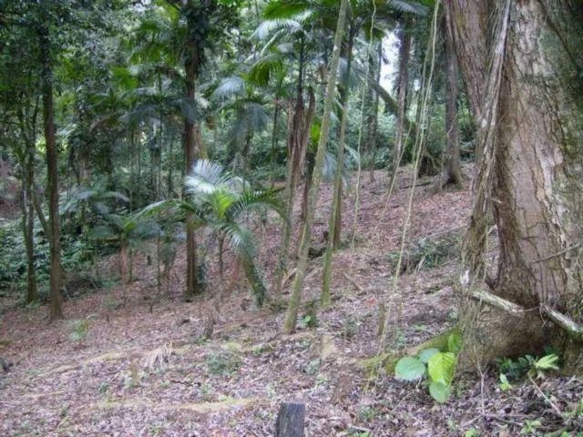 Imagem 7: Terreno, Venda, Bairro América, Buch Imoveis