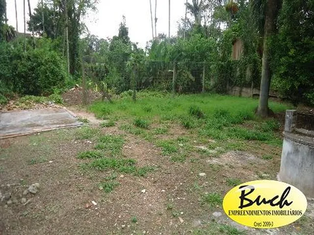 Imagem 7: Imóvel Comercial Joinville À Venda Bairro Anita Garibaldi Buch Imóveis