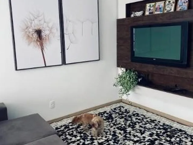 Imagem 14: Apartamento Venda Bairro Bom Retiro - Buch Imoveis